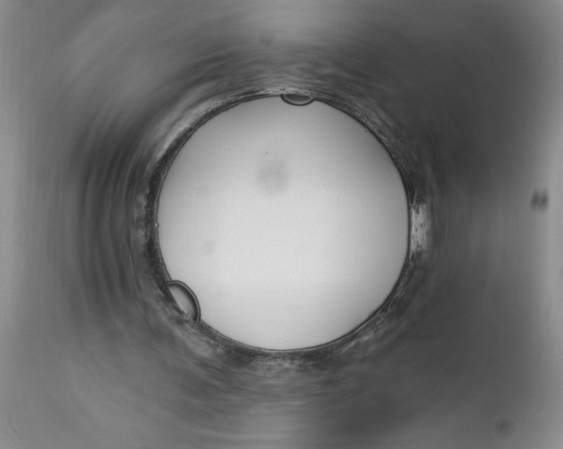 X0000112740291200909101522