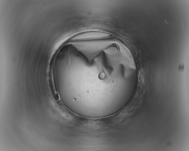 X0000112740292200909101522