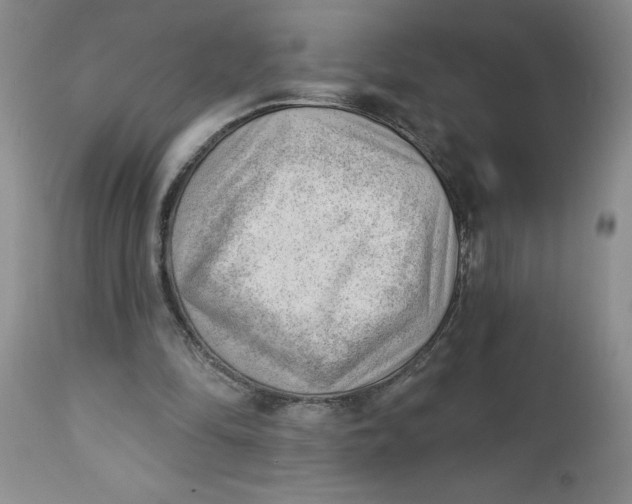 X0000112740294200909101522