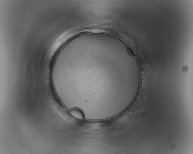 X0000112740295200909101522