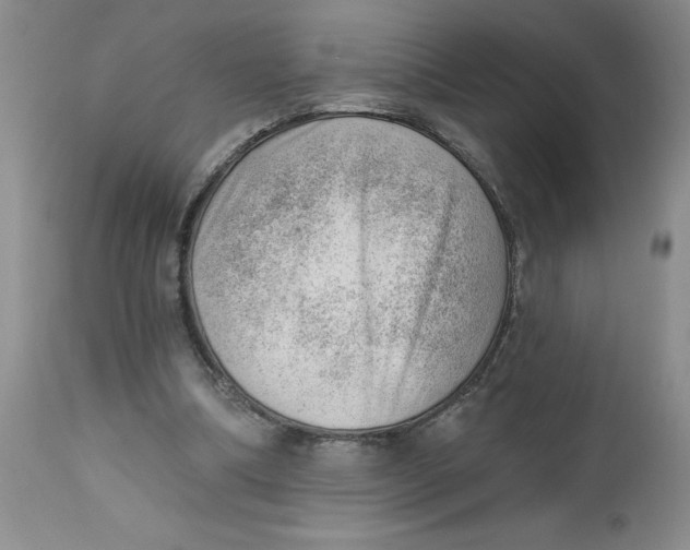 X0000112740298200909101522