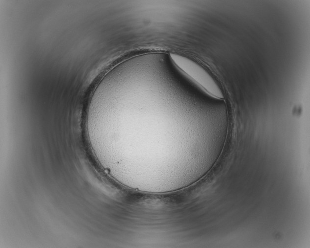 X0000112740299200909101522