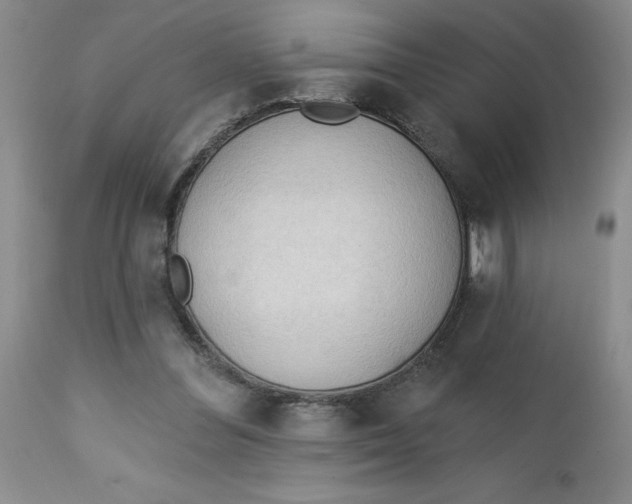 X0000112740300200909101522