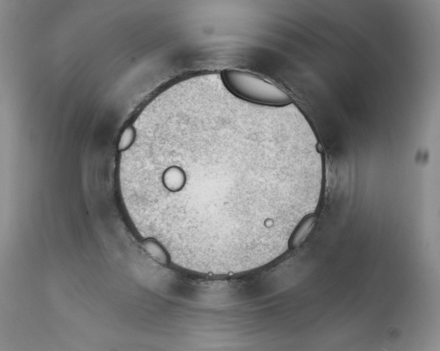 X0000112740301200909101522