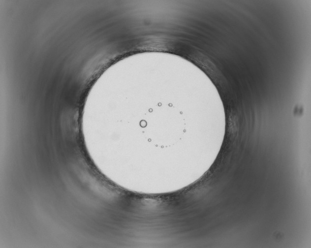 X0000112740302200909101522