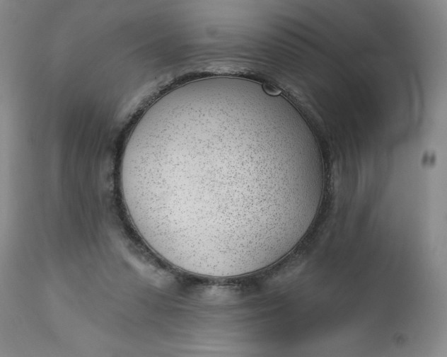 X0000112740303200909101522