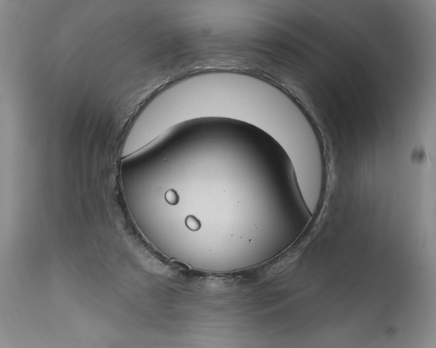 X0000112740305200909101522