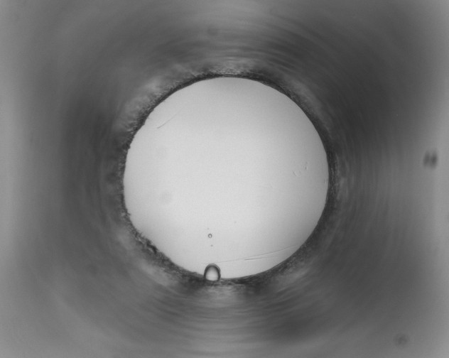 X0000112740307200909101522