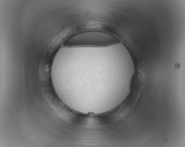 X0000112740308200909101522