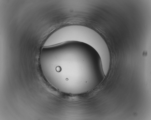 X0000112740309200909101522