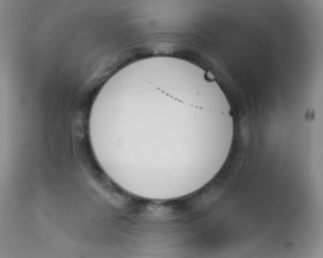 X0000112740311200909101522