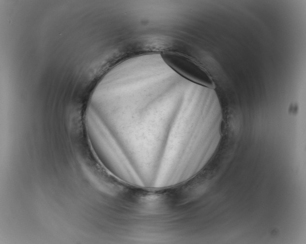 X0000112740312200909101522