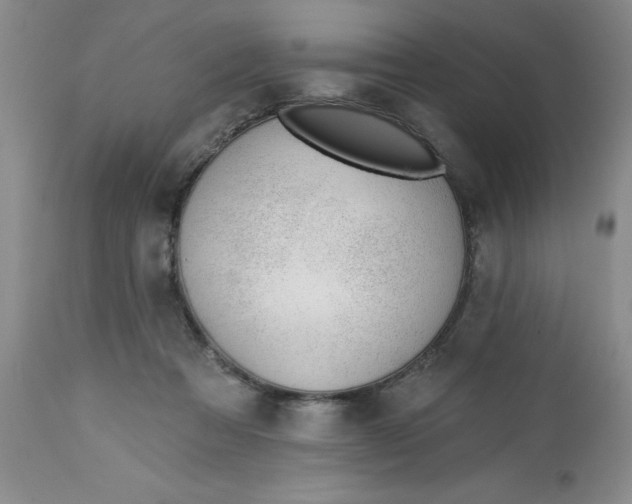 X0000112740313200909101522