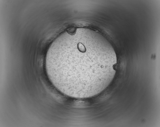 X0000112740315200909101522