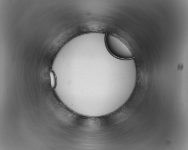 X0000112740317200909101522