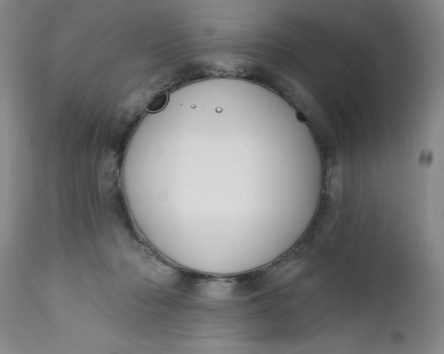 X0000112740318200909101522