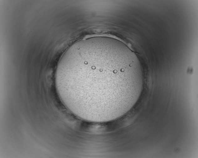 X0000112740319200909101522