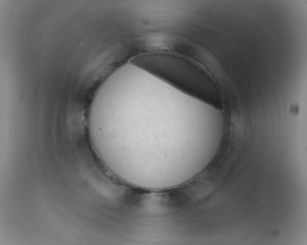 X0000112740320200909101522