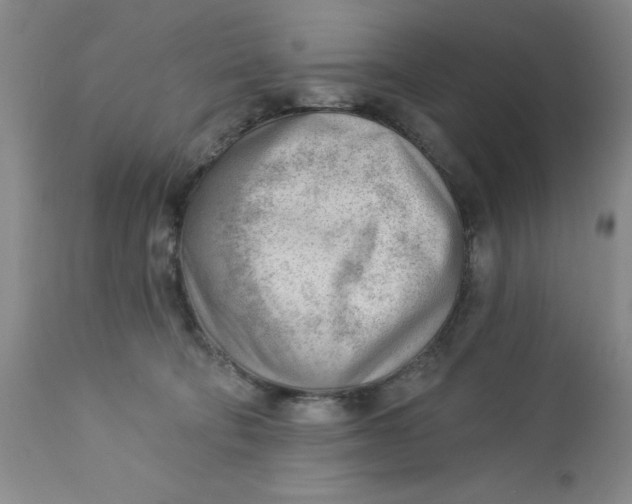 X0000112740322200909101522