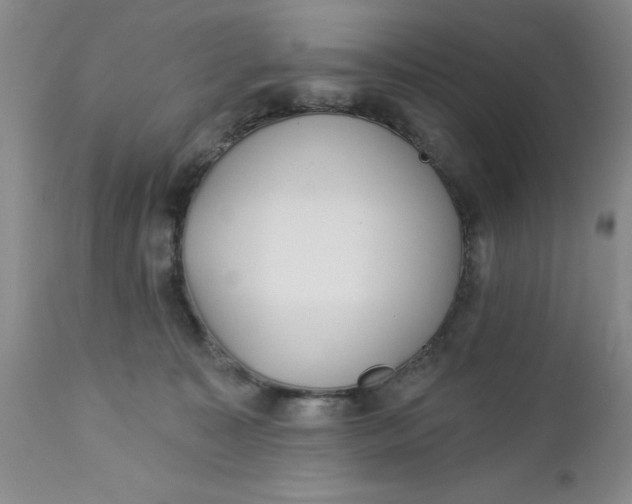 X0000112740323200909101522