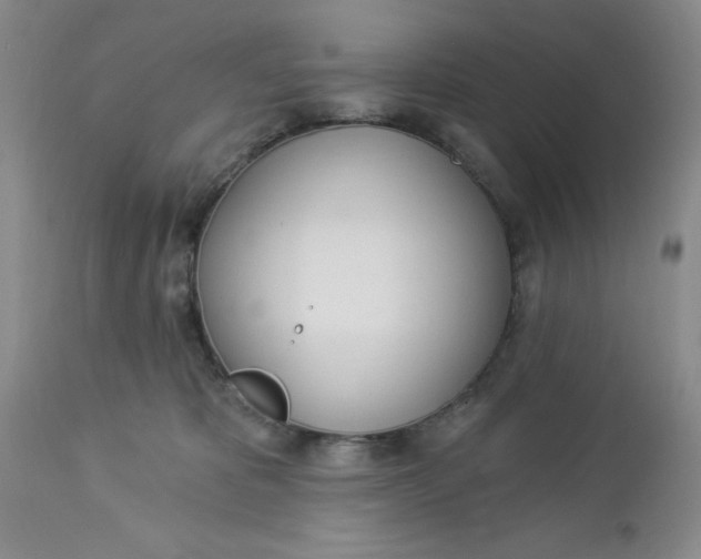 X0000112740325200909101522