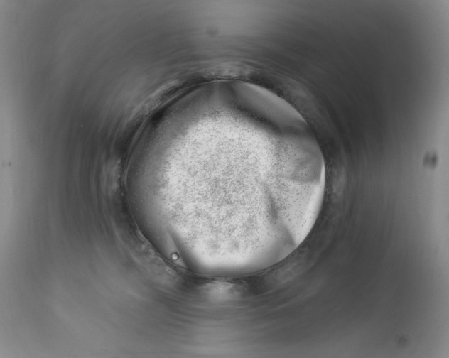 X0000112740326200909101522