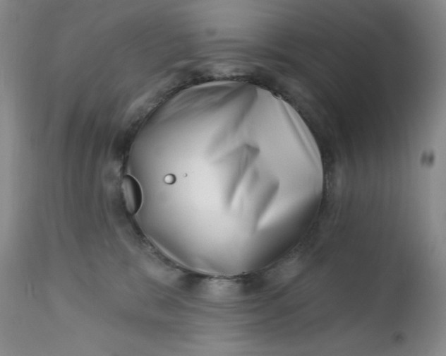 X0000112740327200909101522