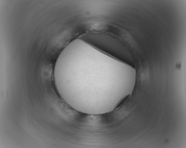 X0000112740328200909101521