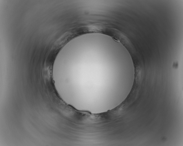 X0000112740329200909101521