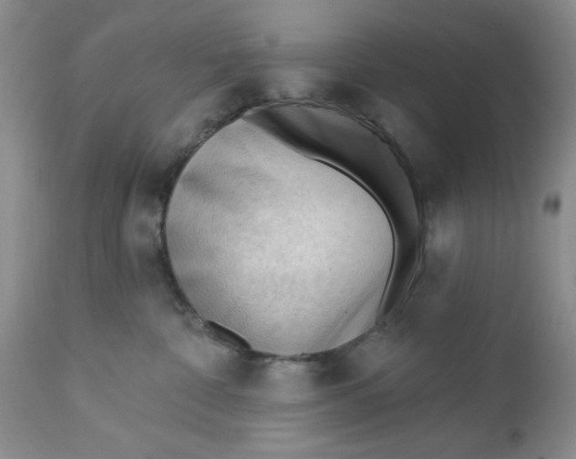 X0000112740332200909101521