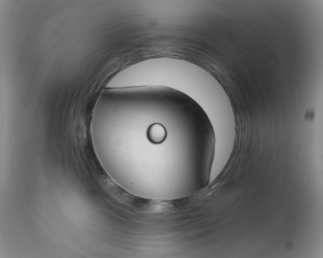 X0000112740333200909101521