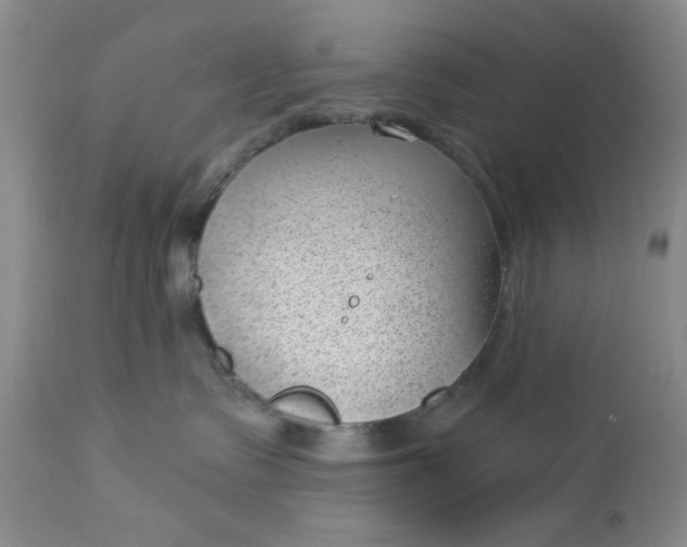 X0000112740335200909101521