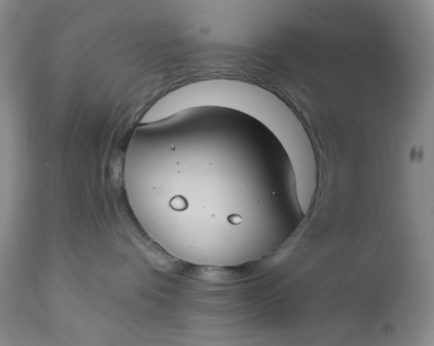 X0000112740336200909101521