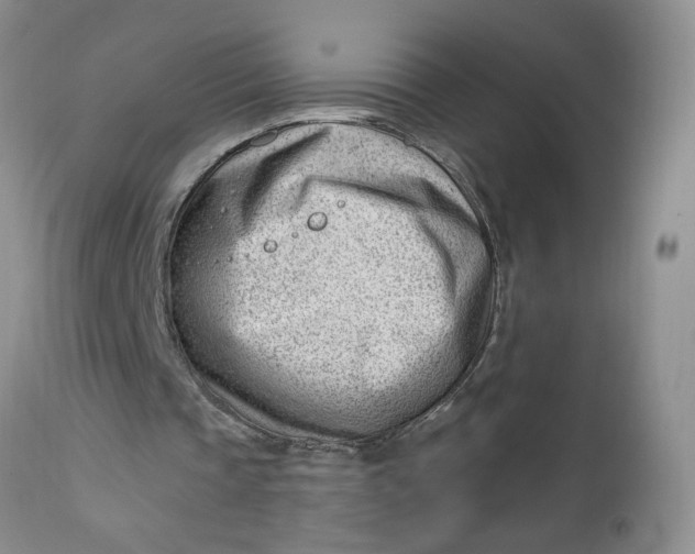 X0000112740337200909101521