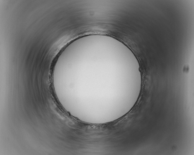 X0000112740338200909101521