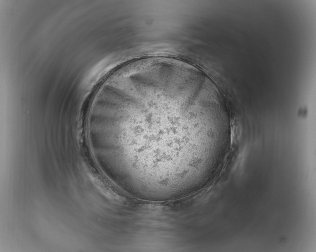 X0000112740339200909101521