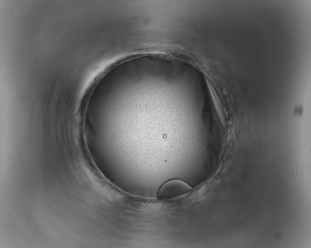 X0000112740342200909101521