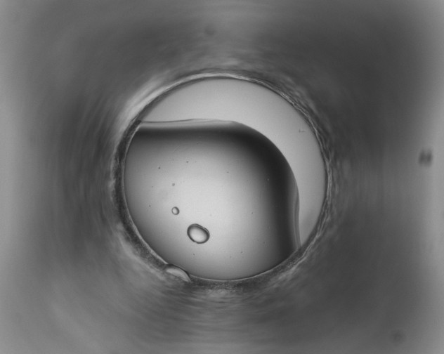 X0000112740344200909101521