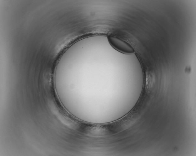 X0000112740348200909101521