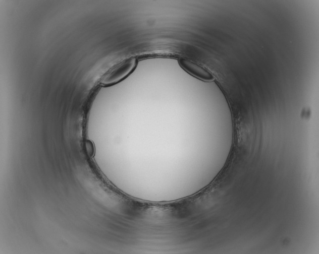 X0000112740350200909101521