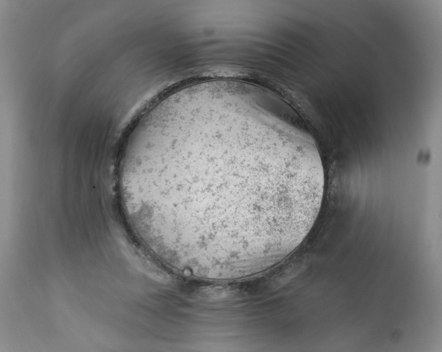 X0000112740351200909101521