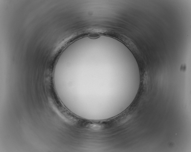 X0000112740352200909101521