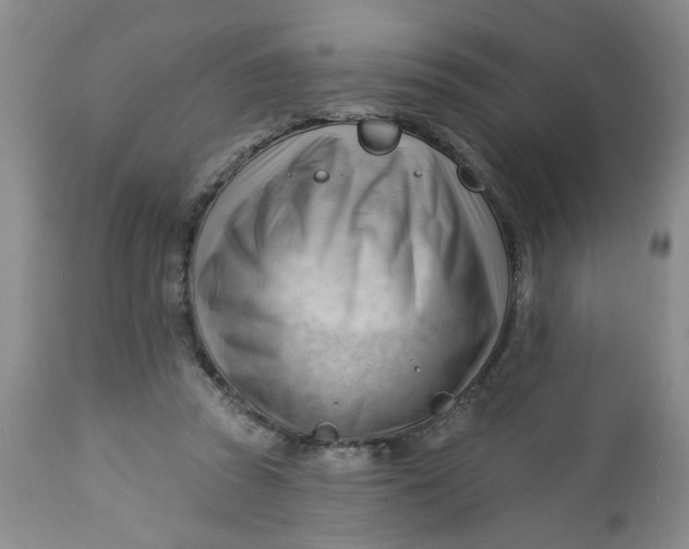 X0000112740353200909101521