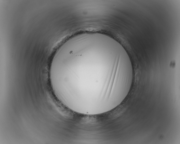 X0000112740354200909101521