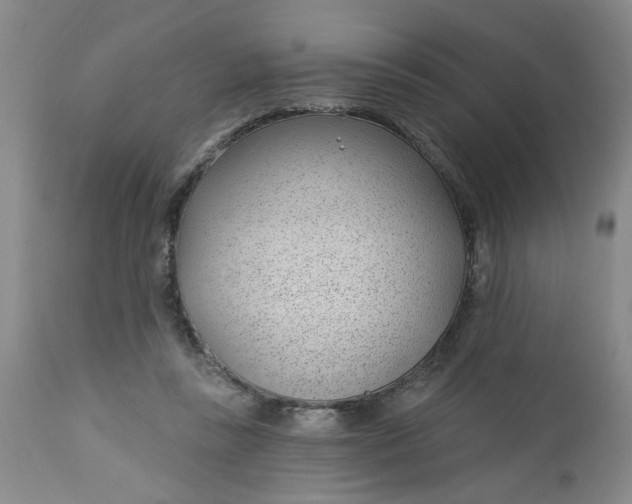 X0000112740355200909101521