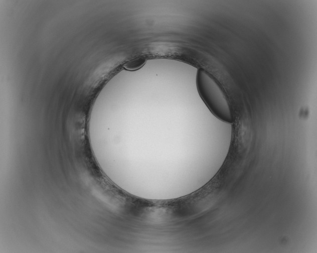 X0000112740356200909101521