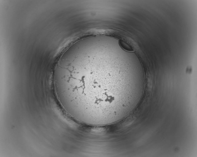 X0000112740357200909101521