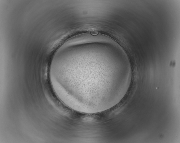 X0000112740358200909101521