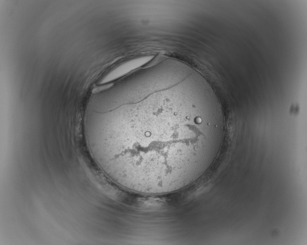 X0000112740359200909101521