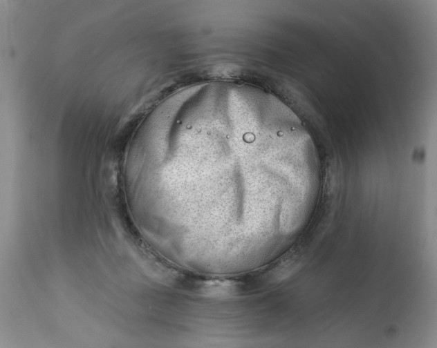 X0000112740363200909101521